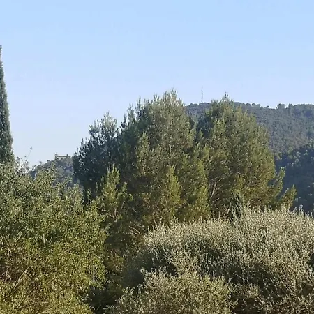 With Swimming Pool, Only 1 Km From Sea * Cavalaire-sur-Mer